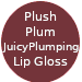 Plush Plum Glowify Juicy Plumping Lip Gloss